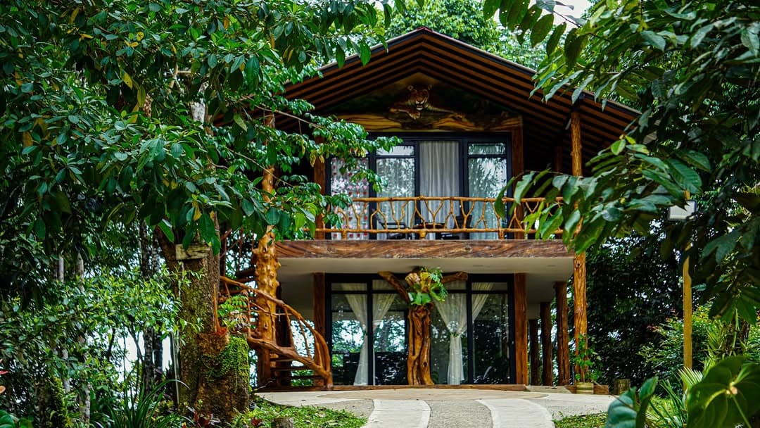 Sendero natural rodeado de vegetacion en Yatama Ecohotel